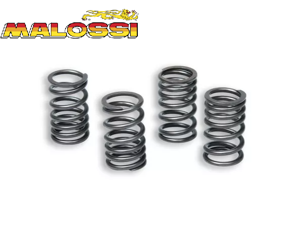 Molas Embraiagem Malossi DT50X/ BETA50RR/SHERCO50 0