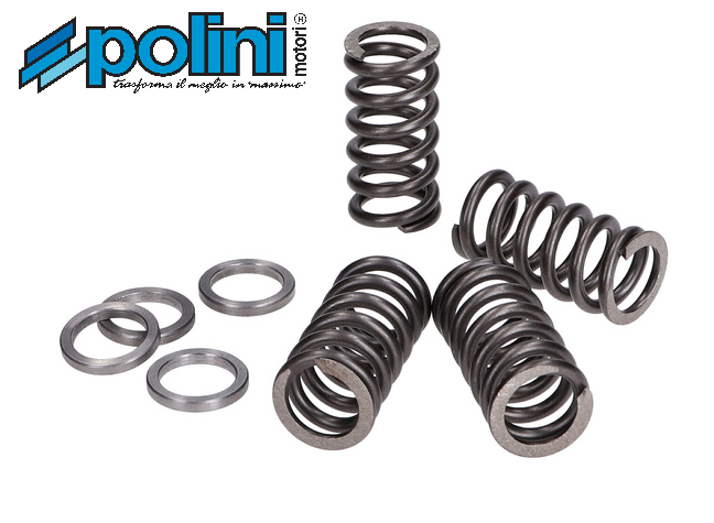 Molas Embraiagem Polini DT50X/ BETA50RR/SHERCO50 0